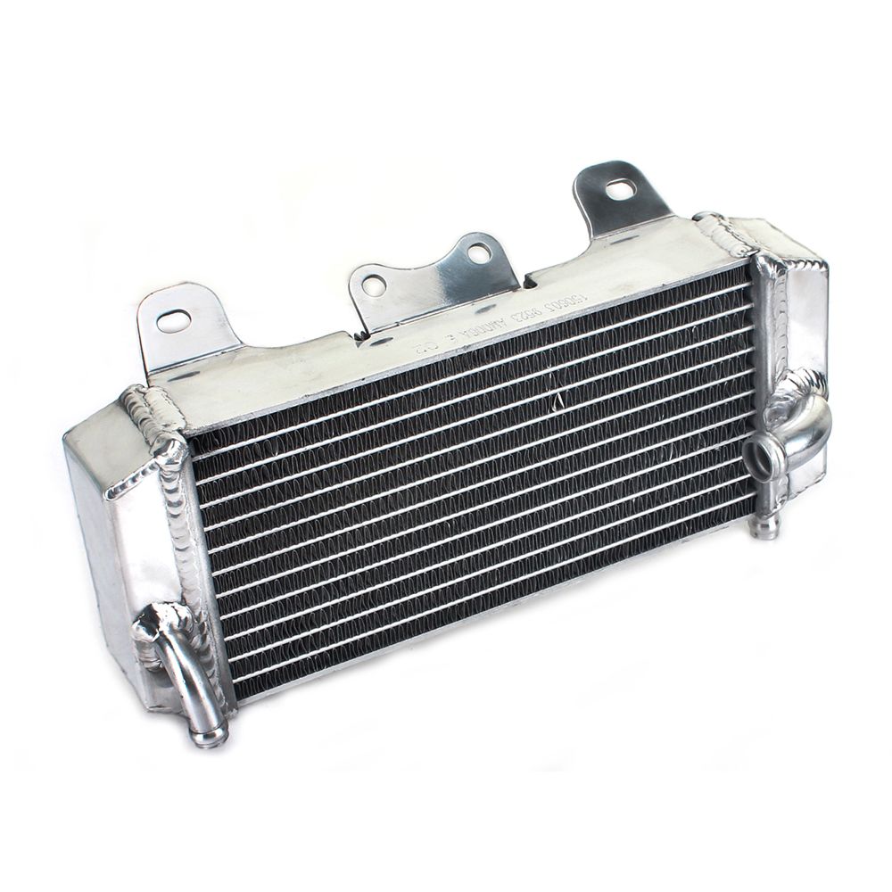 DS16.006L