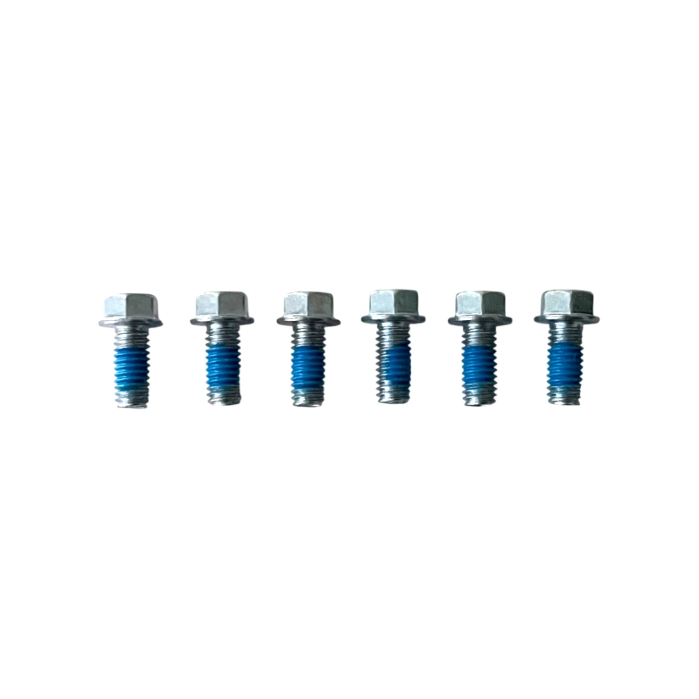 Brake Disc Bolt Kit Beta RR 300 (13-25) front NRTeam DS89.2007
